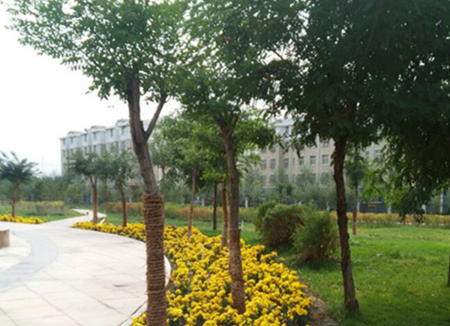宁夏报业传媒印刷文化产业园绿化工程（一期、二期）